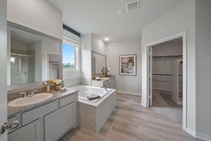 Primary Bath Photo 2